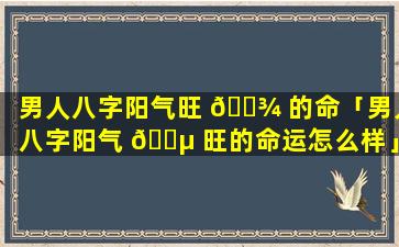 男人八字阳气旺 🌾 的命「男人八字阳气 🌵 旺的命运怎么样」